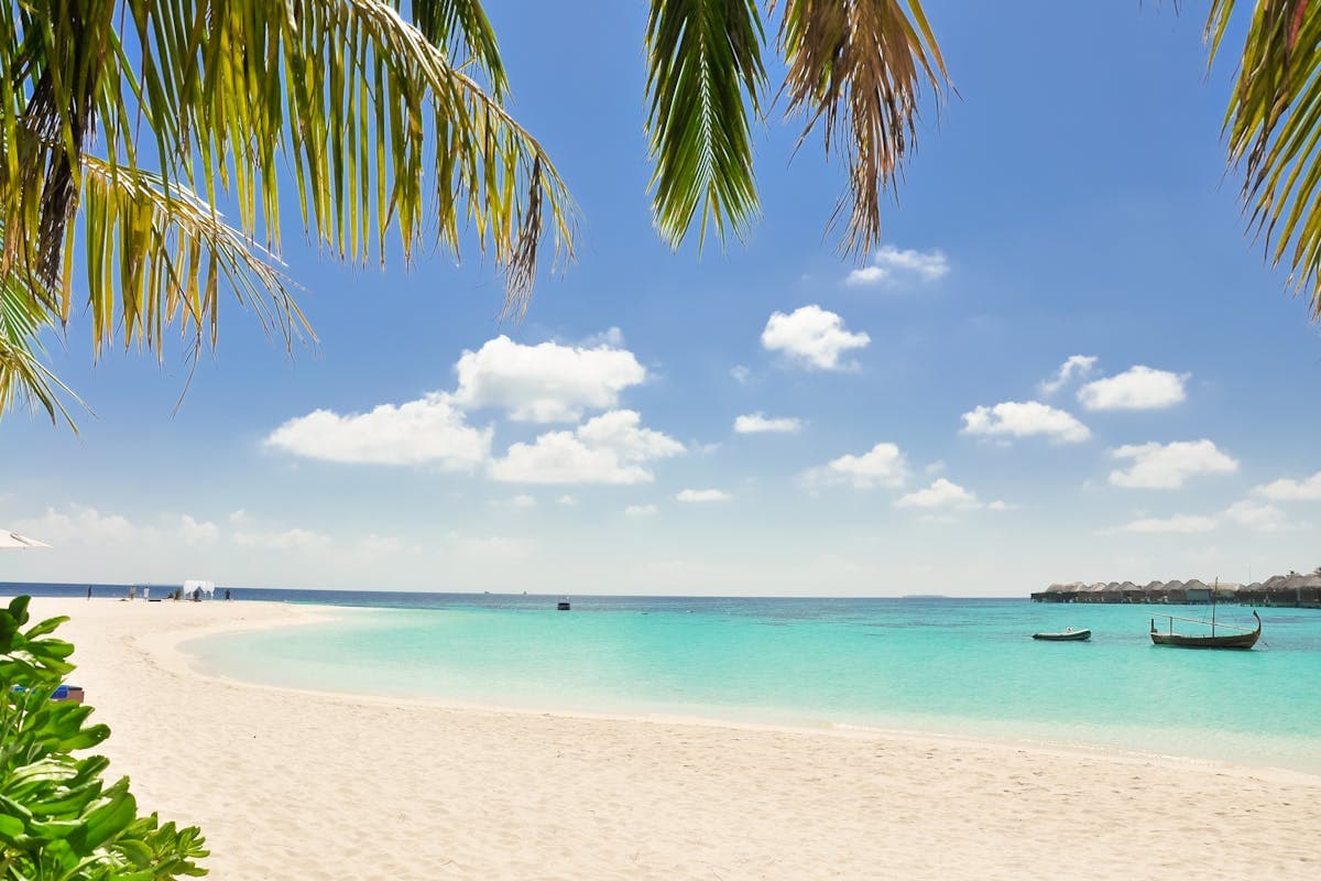 Goa Beach Bonanza